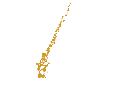Beijing Hair Culture Retina Logo